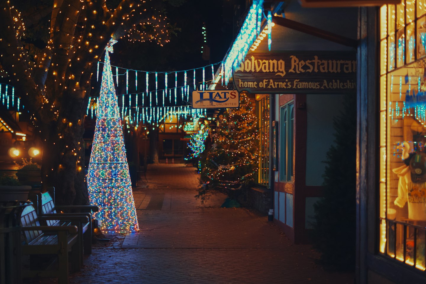 Luci festive decorano una strada di paese con un grande albero.